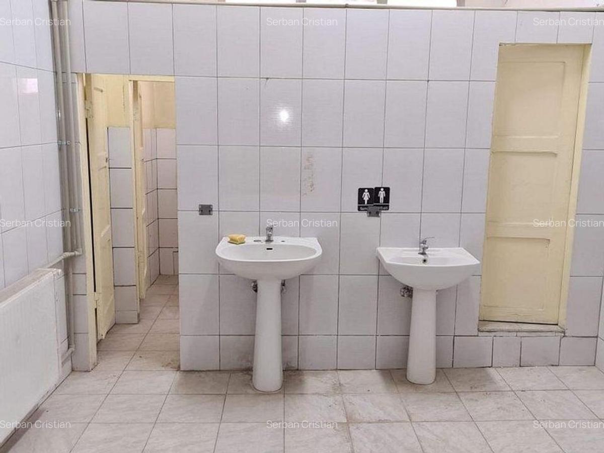Drumul Intre Tarlale spatiu productie 400-1500 mp - 6