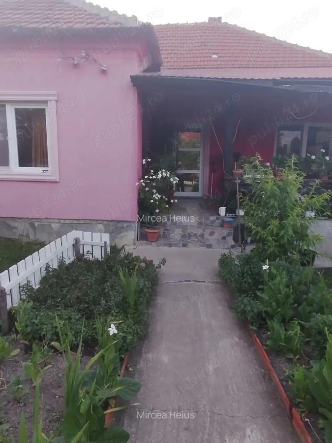 Vand casa Campuri de Sus - 2