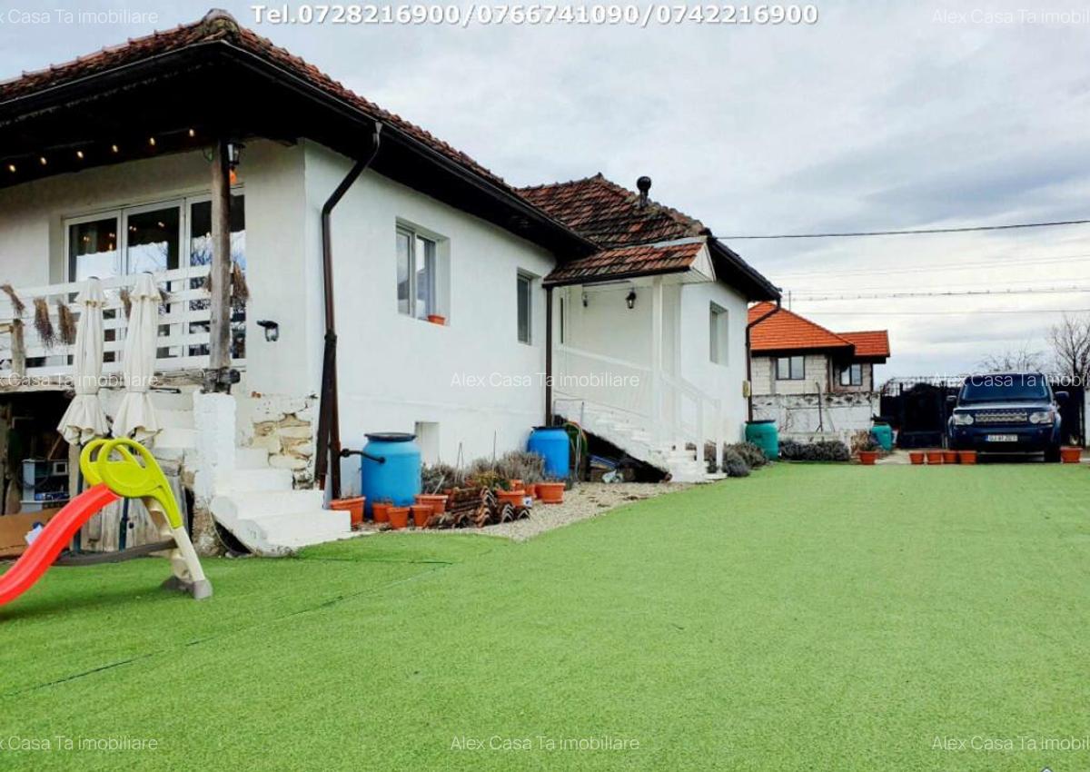 Inchiriere casa cocheta, situata in Tetila (Curti?oara Go - 14