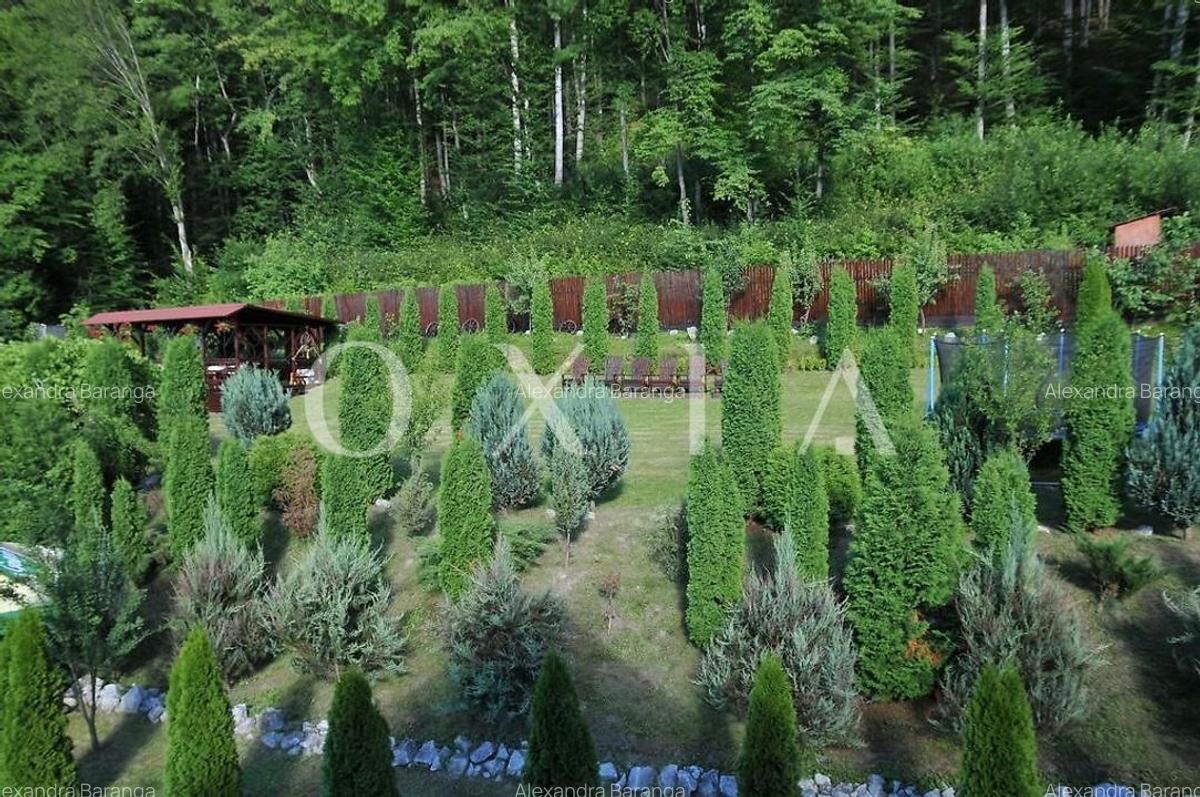 AX949 Pensiune Exclusivista In Inima Statiunii Sovata - 4