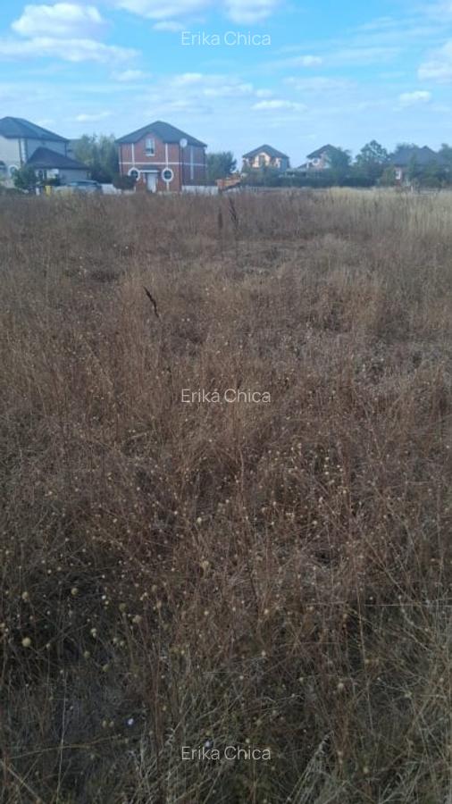Balotesti - Saftica - Flamingo Park -476 mp - 2