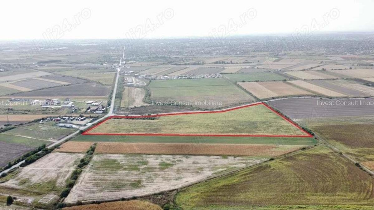 Teren vast in Satu Mare | 76.624 mp pentru dezvoltare imobiliara si servicii - 5