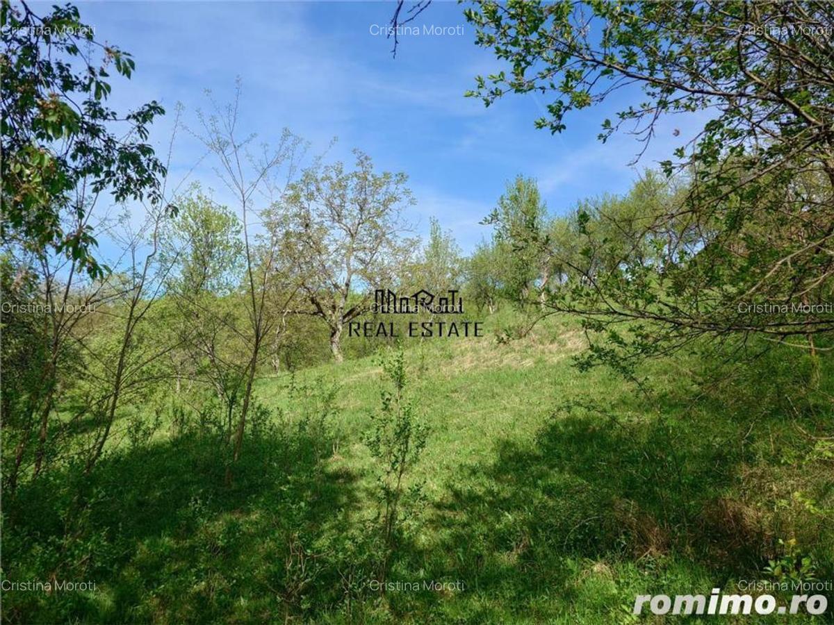 Teren intravilan si cladire in Apuseni, Blajeni, Hd - 17