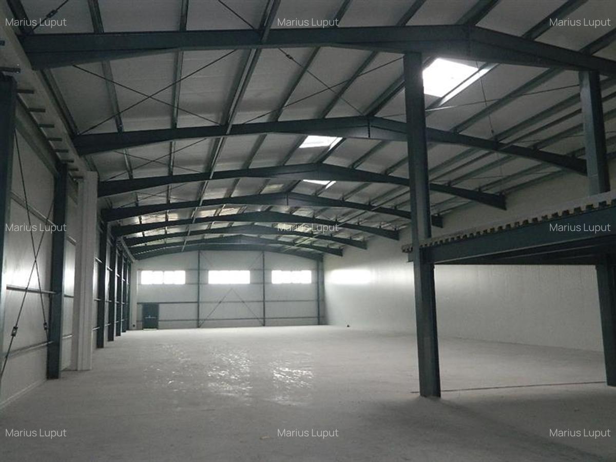 Spațiu industrial, 1000 mp în Torontalului - 3