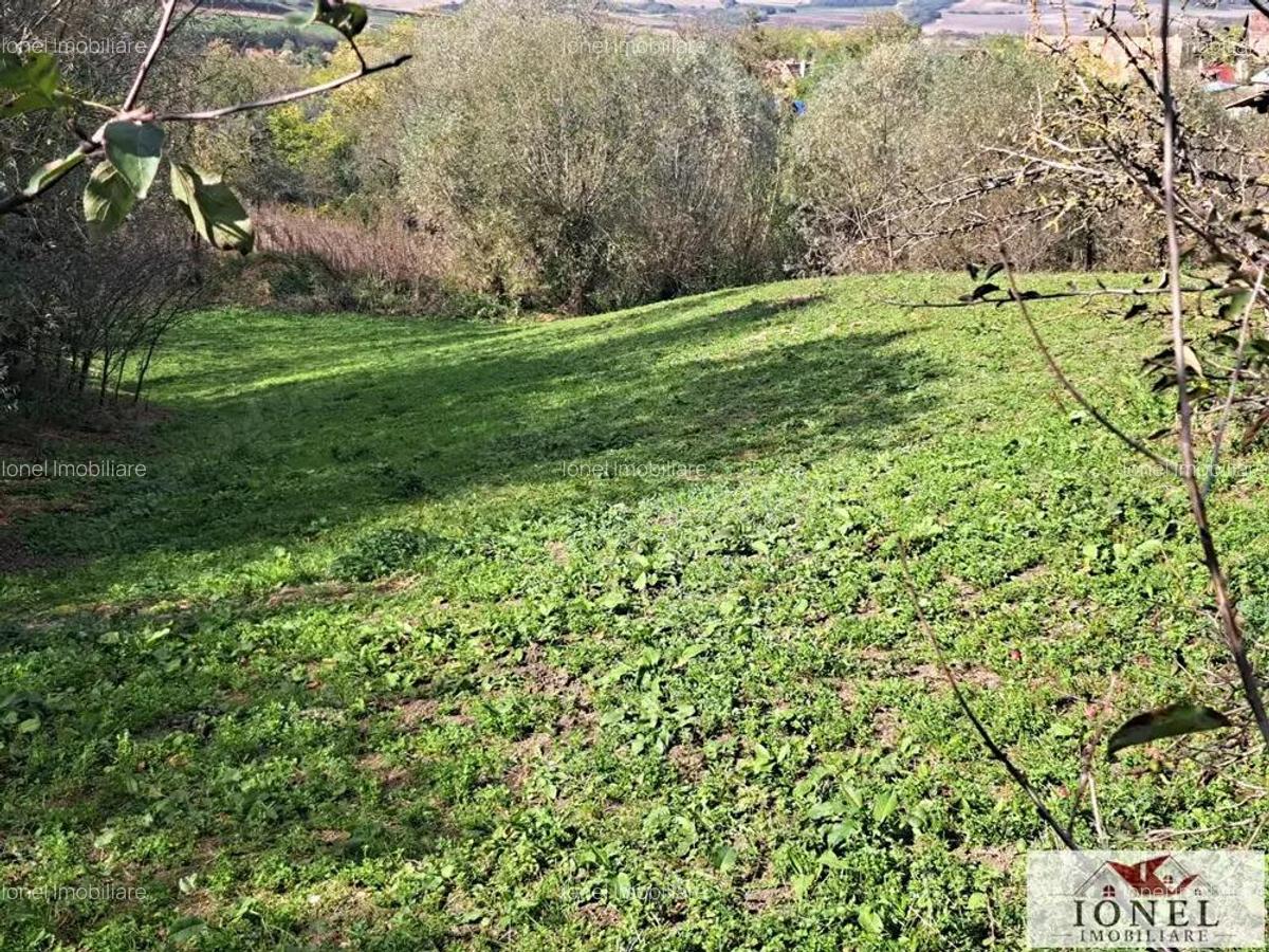 Casa de vanzare in Ghirbom - Berghin- 3800 mp teren - 12