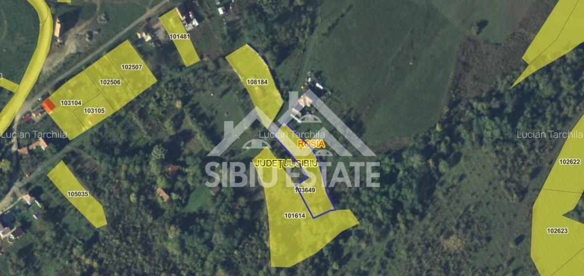Teren constructii casa/cabana 2000 mp Valea Hrtibaciului Nucet - 4