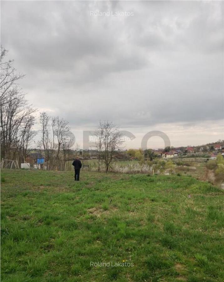 RECO . TEREN INTRAVILAN PALEU - 3