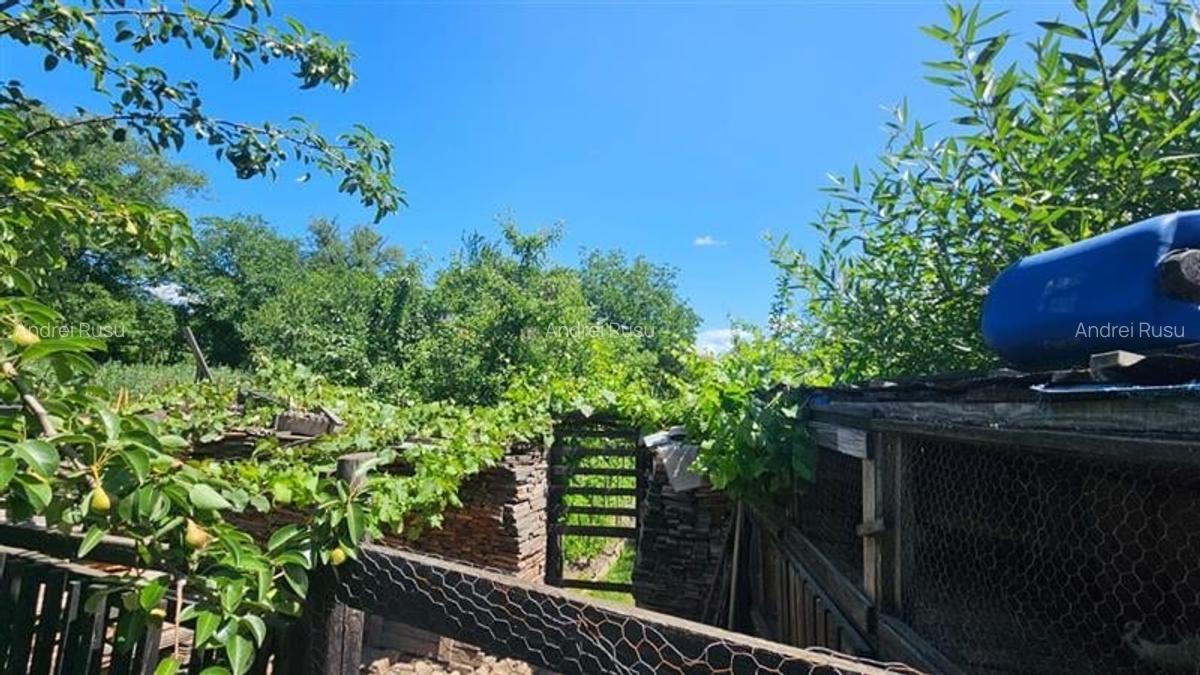 Casă individuală cu 2 camere în Central - 8