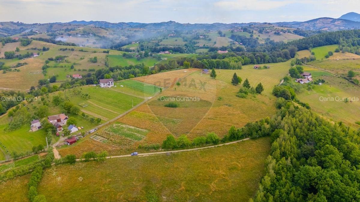 Teren Construcții intravilan de 11600 mp, în Poiana Mărului - 1