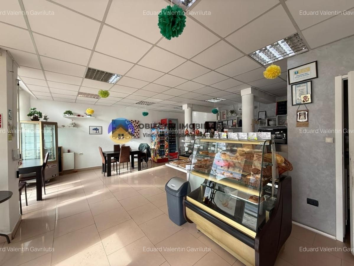 Spatii comerciale de vanzare – Alexandru cel Bun - 2