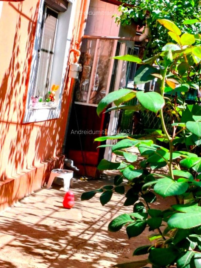 CASA+TEREN 266mp ona parc carol viilor - 9