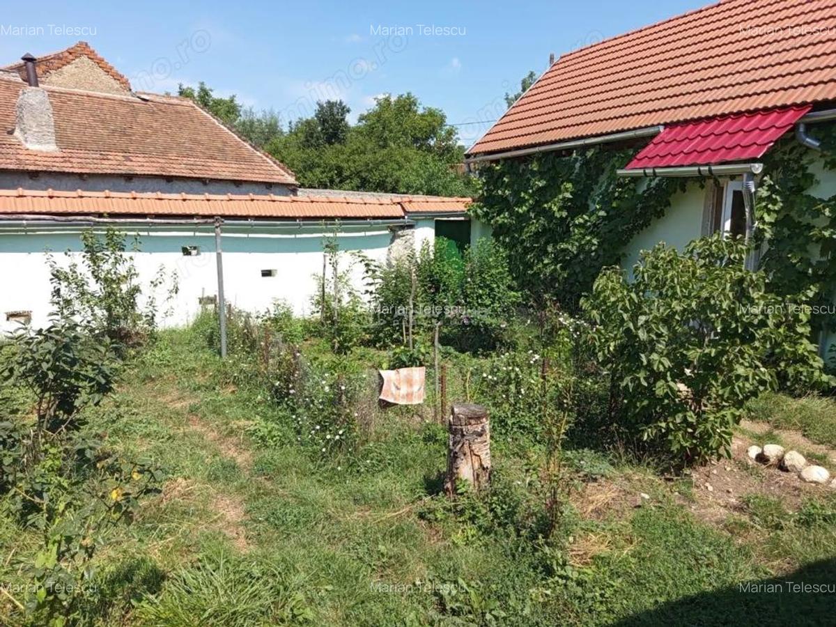 Ilidia, Casa de Vacanta, 3 Camere, 899mp Teren, Usor Negociabil - 4