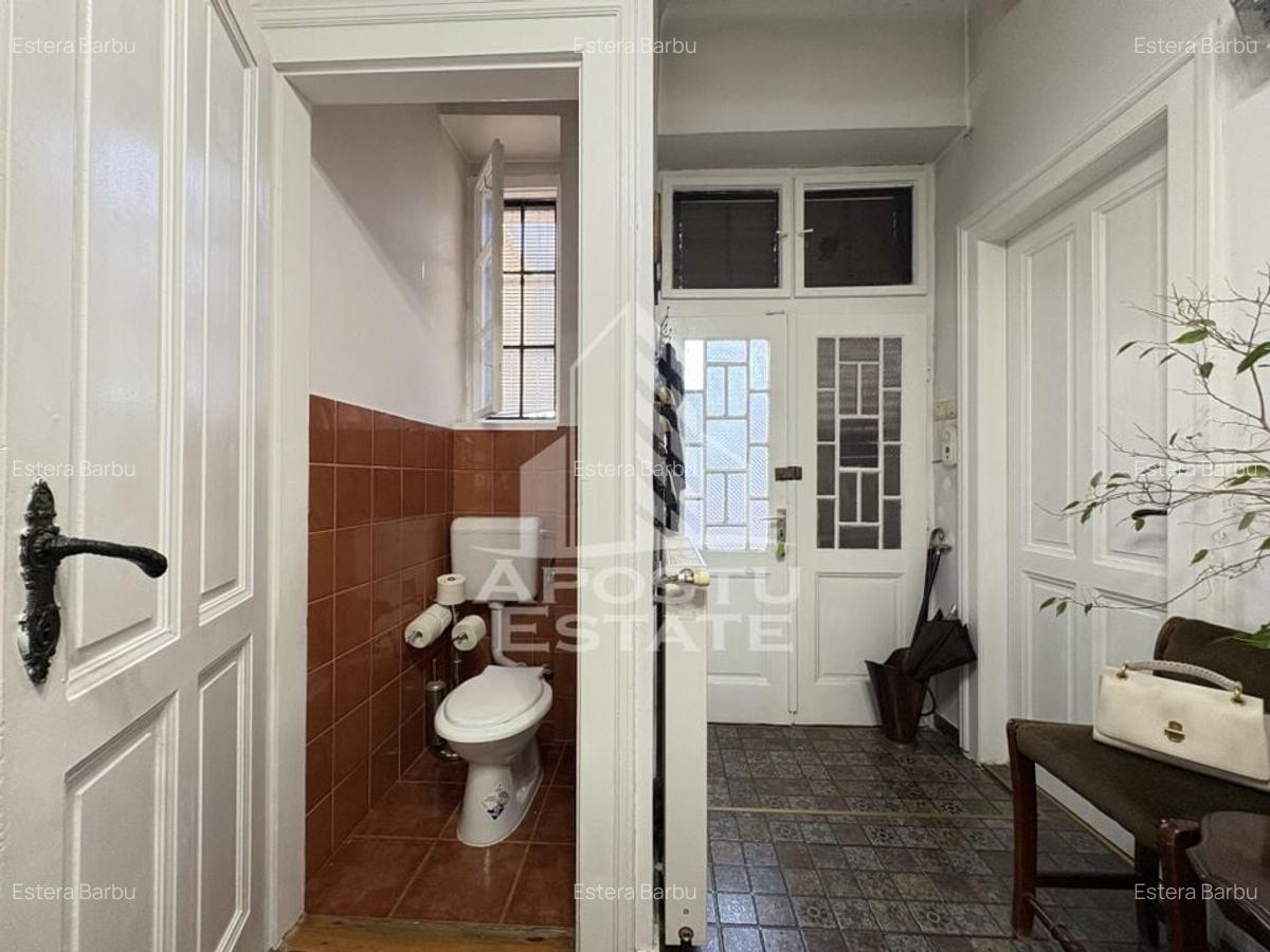 Apartament spatios, etaj intermediar, langa Colegiul Banatean - 10