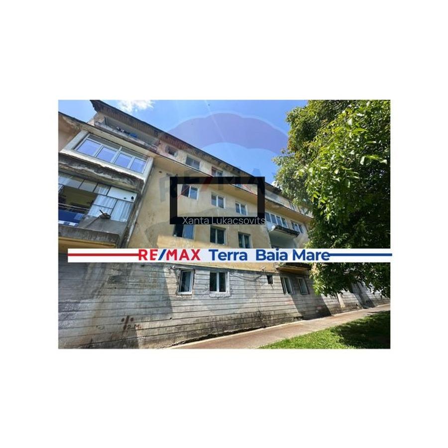 Garsoniera spatioasa de vanzare in Cavnic - locatie centrala - 3