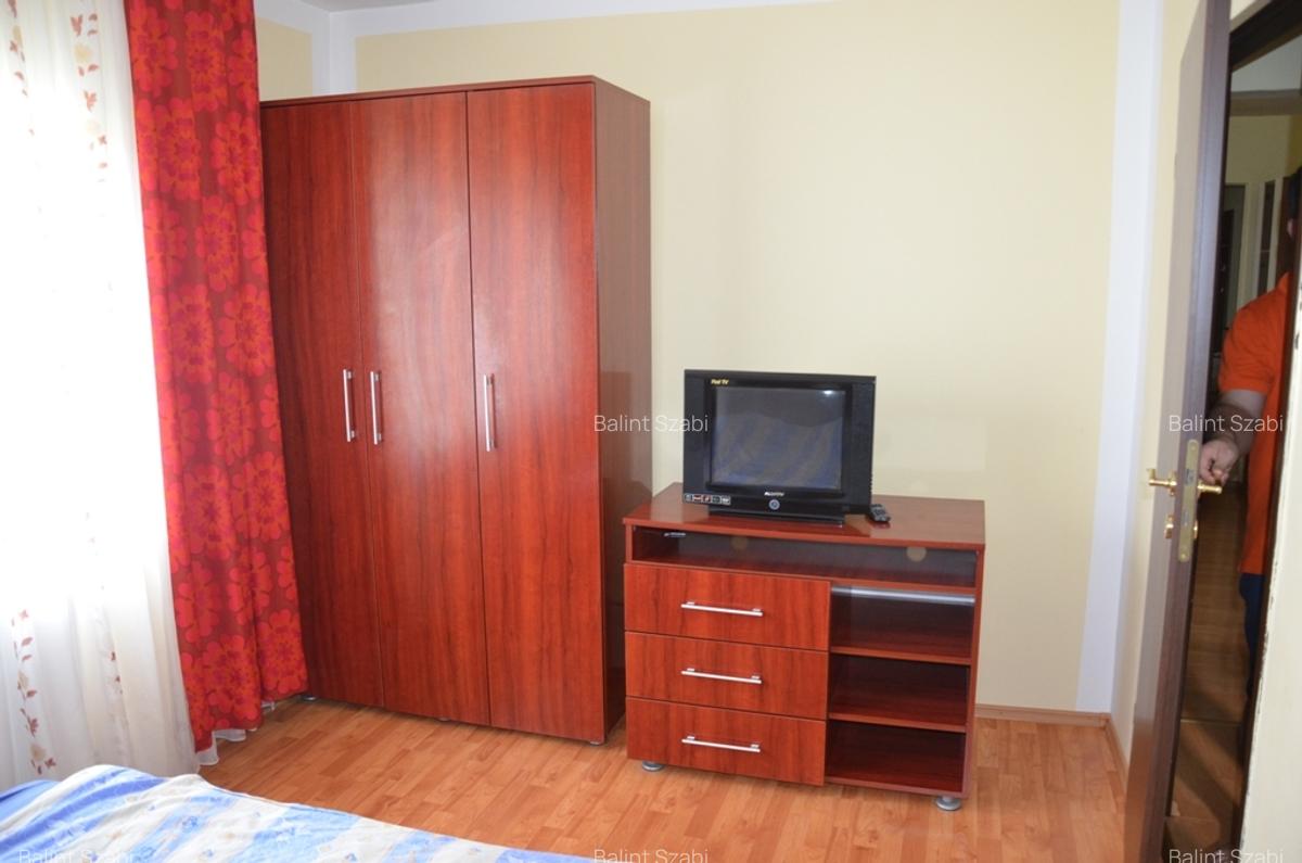 Aradului 3 camere 350 euro - 7