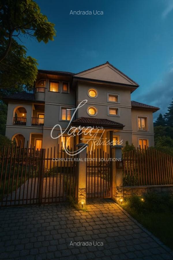 Vila versatila Iancu Nicolae - rezidenta, comercial sau clinica - 19