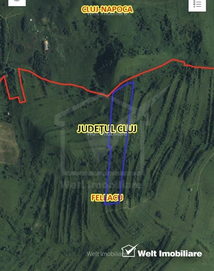 Teren investitie Sopor, pret imbatabil - 4