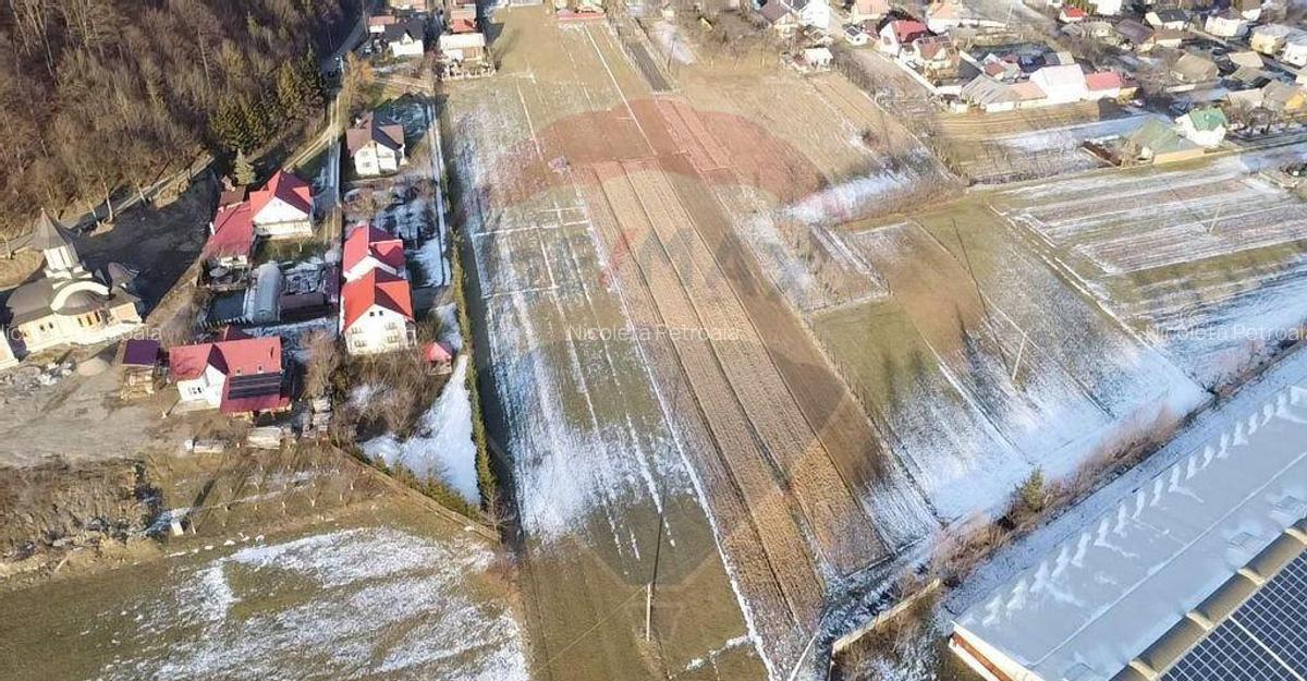 De vanzare teren intravilan - 6