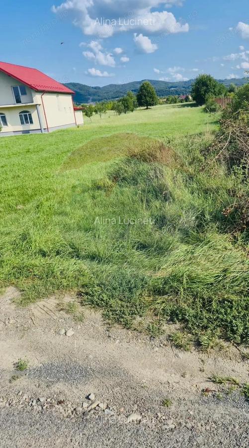 Teren 8,042mp Sighetu Marmatiei / Strada Lazul Sesului - 3