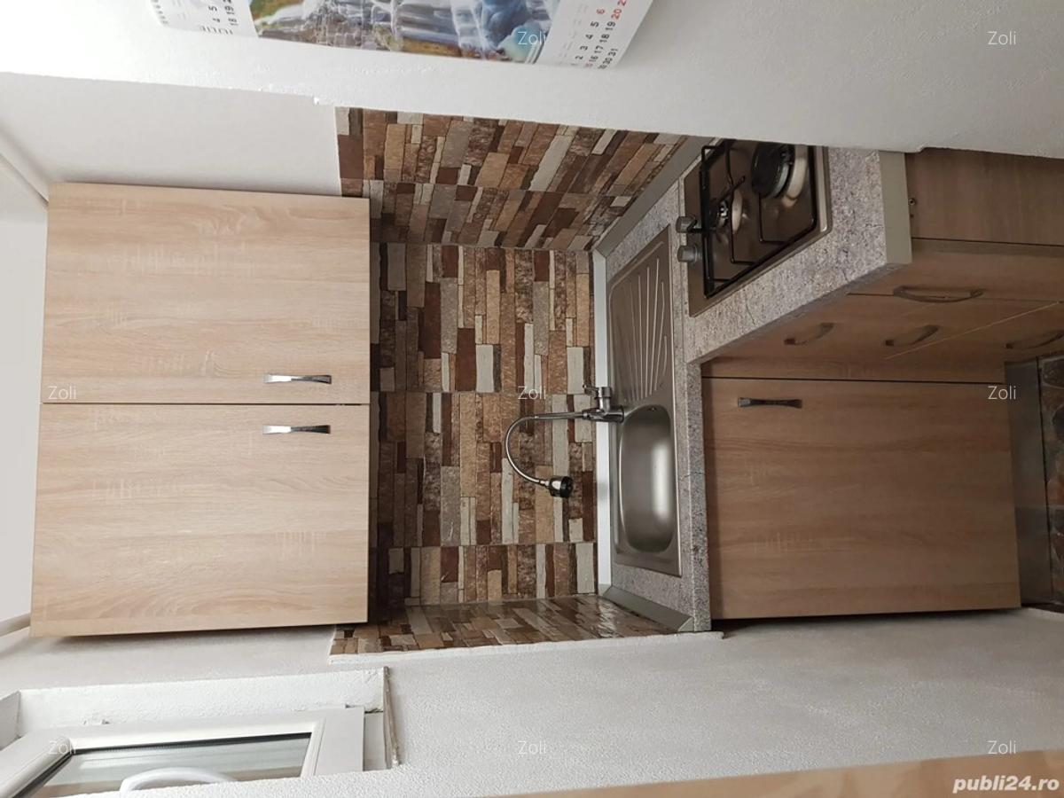 Apartament de vanzare cu o camera, Freidorf - 2