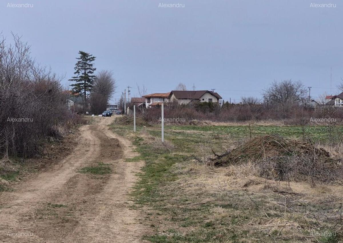 Teren intravilan ieftin Balotesti, 1100 mp, 25000 euro - 3