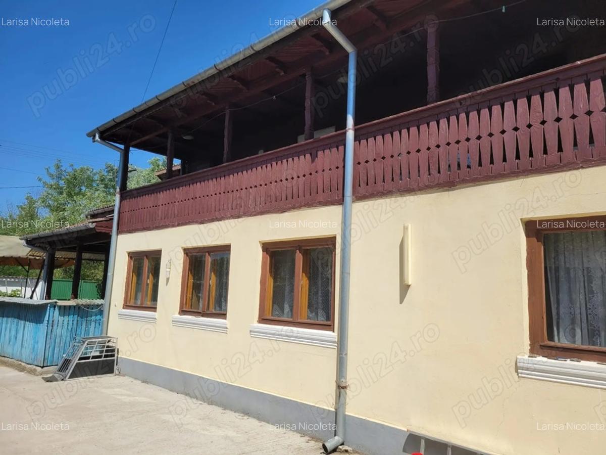 Gospodarie Olanu - 2