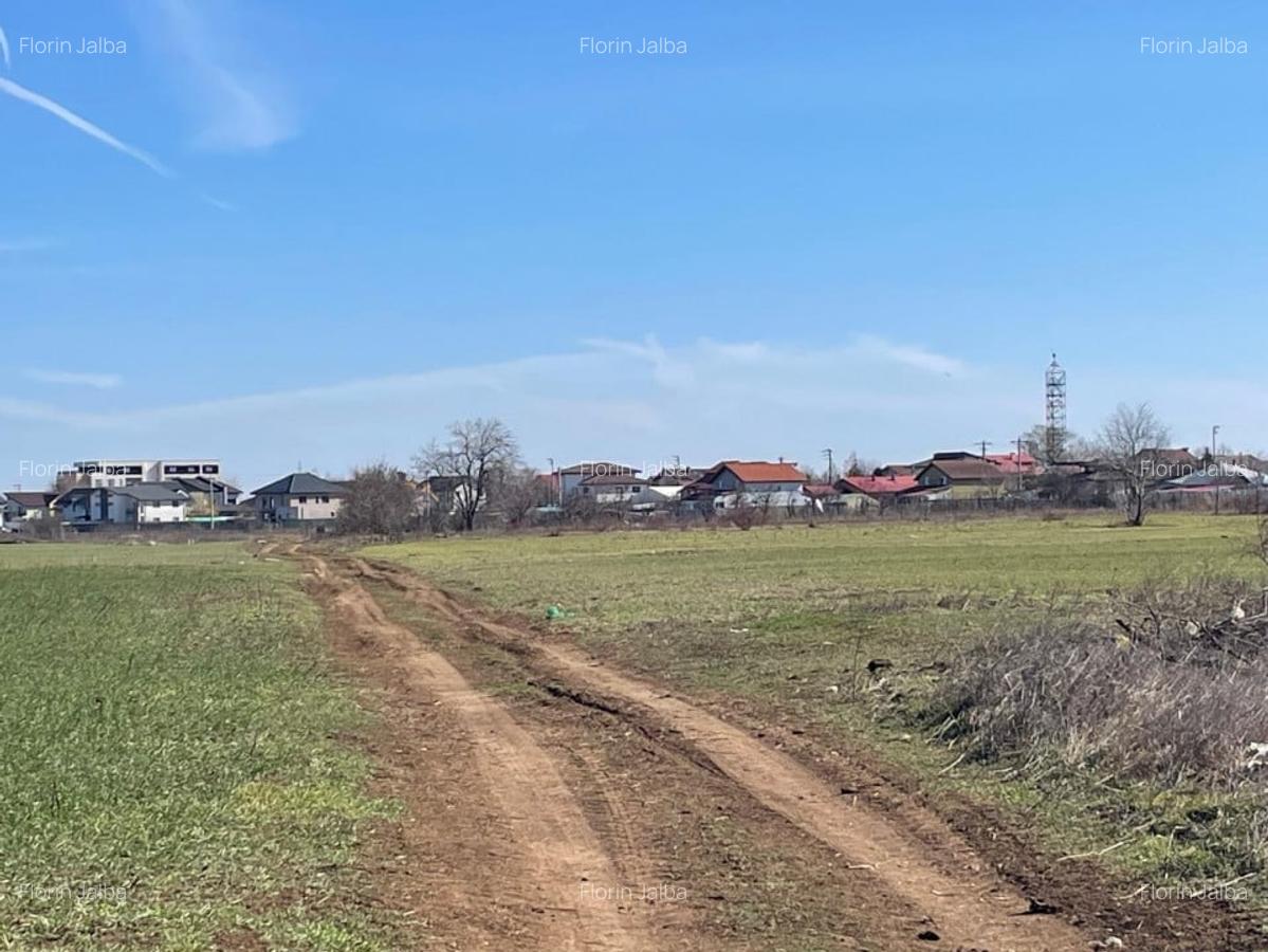 Vanzare | Teren Intravilan 5000 mp | Str. Viitorului | - 2