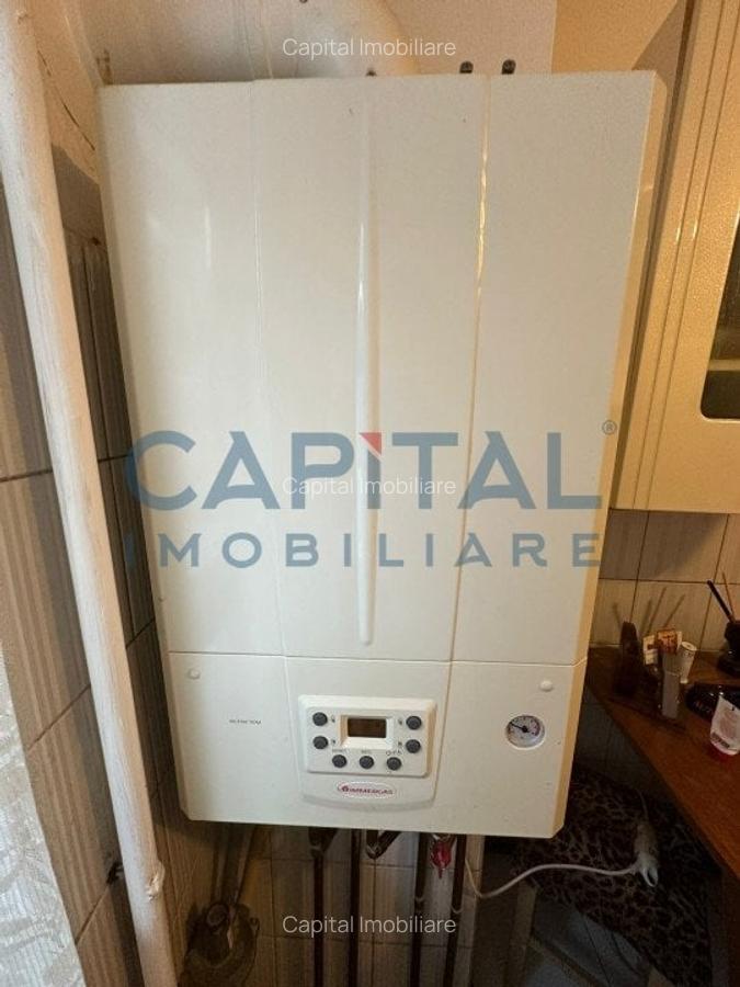 Casă cu 2 camere în Dealu Mare - 9