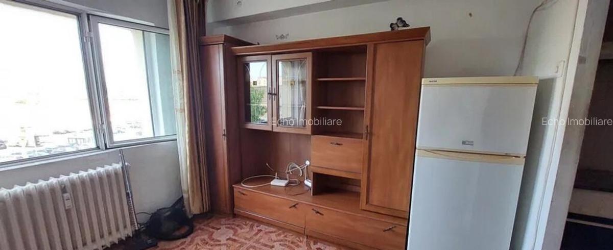 Si pentru clienti cu animal decompanie - garsoniera Podu Ros Mathaus - 2