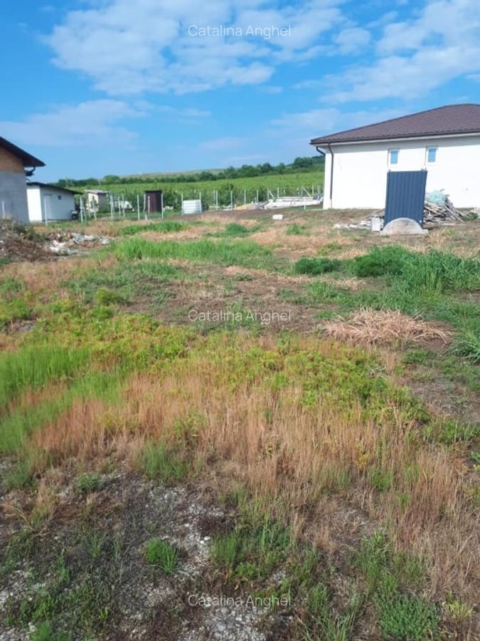 Loturi de teren intravilan, 413 mp, Chitorani, Prahova - 1