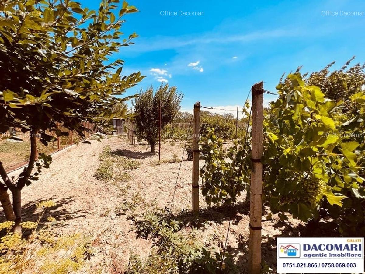 Casă de vânzare în sat I.C. Brătianu, județul Tulcea. - 12