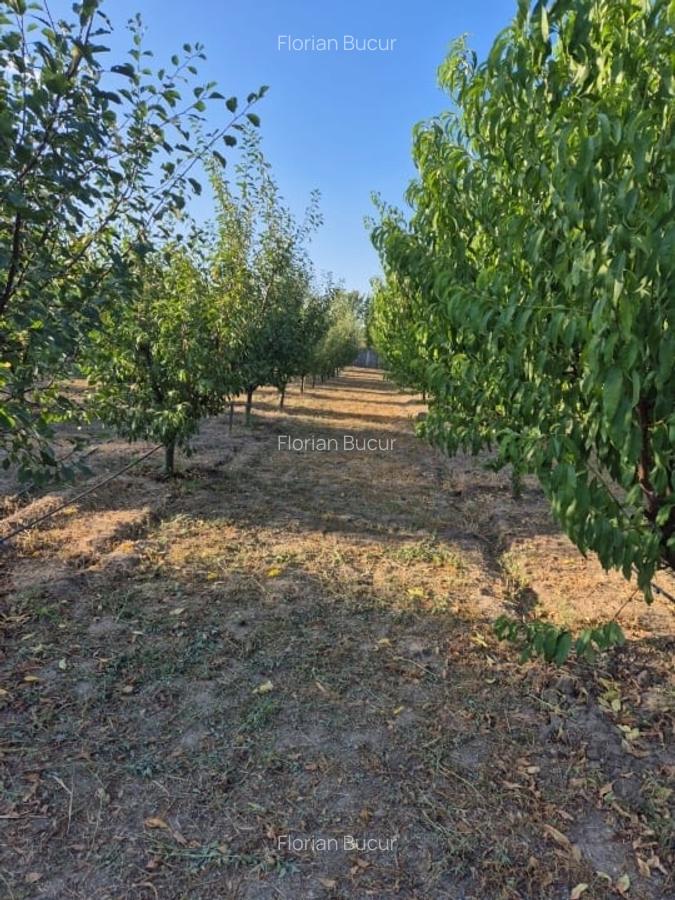 Casă de vânzare în comuna Făcăeni, județul Ialomița – teren 2600 mp, casă nouă, - 14