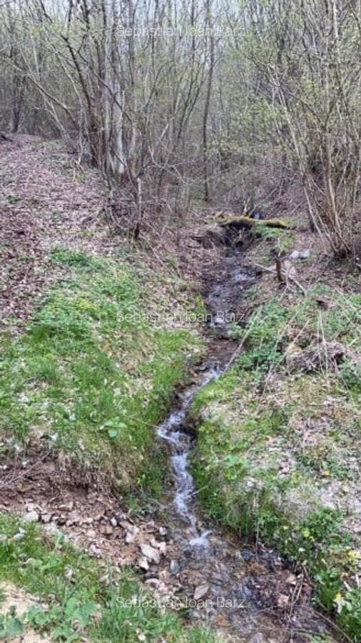Oportunitate Teren extravilan 4000mp , Zona Baisoara - 1