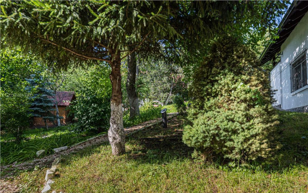 Vila Exclusivista Drumul Poienii / Pretabil Regim Hotelier - 3