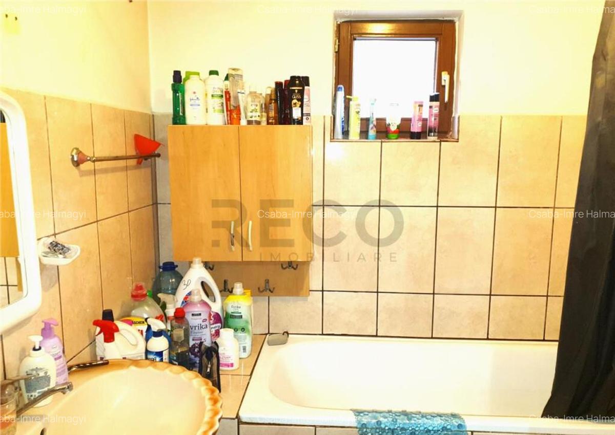 Teren Mare cu 2 case in Biharia. - 7