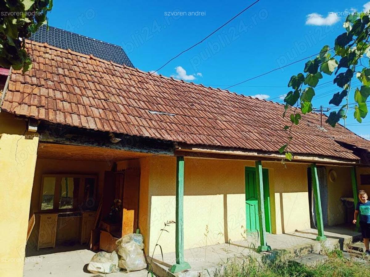 Casa de vanzare Sat Tes jud Timis - 2