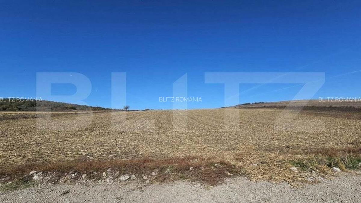 Teren extravilan, 17.000 mp, zona Almasu Mic - 2