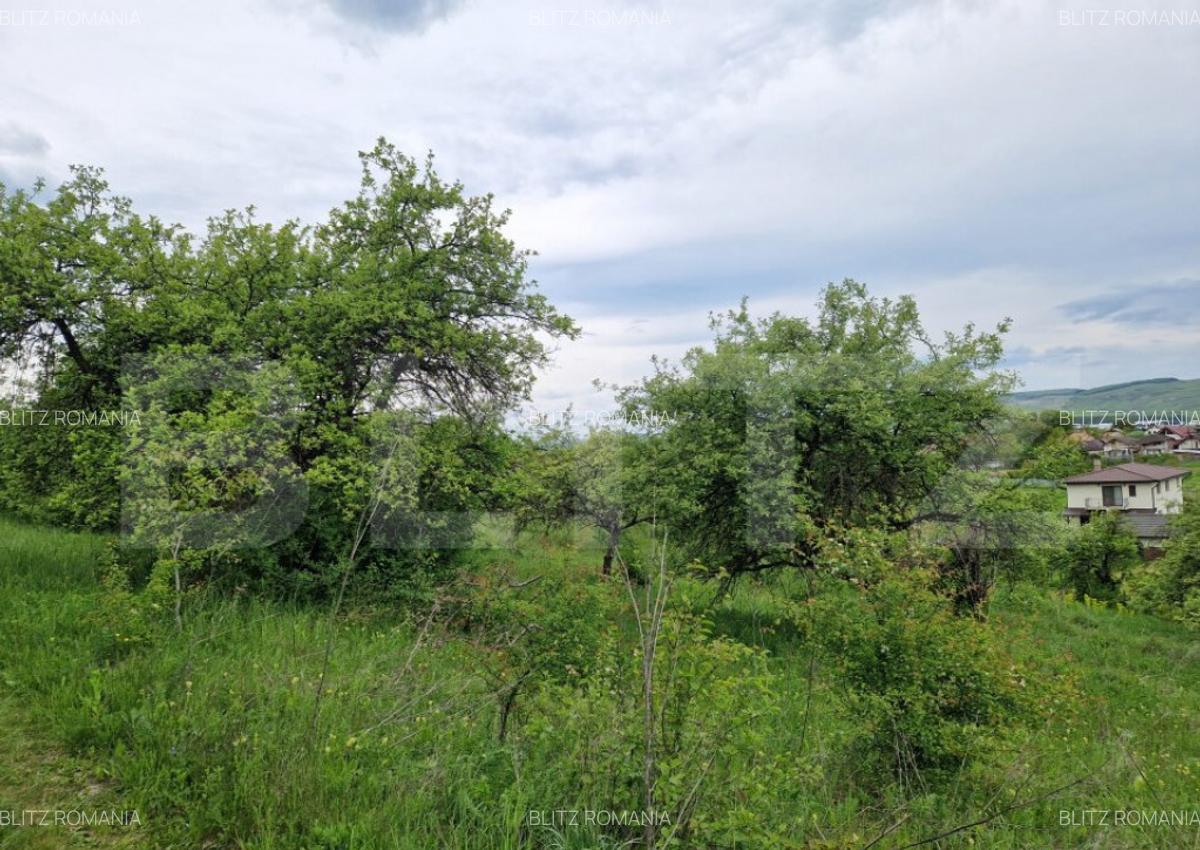 Teren extravilan de vanzare 1500 mp, livada, ideal pent - 3