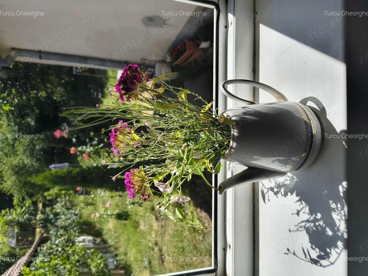 Casa vanzare Sighisoara - 1