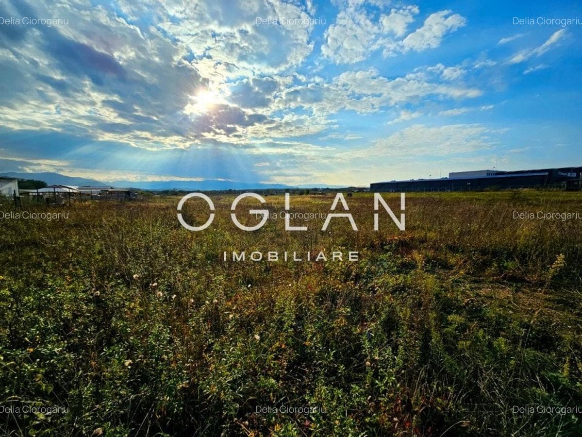 Teren pentru investitie , Selimbar COMISION 0% - 3