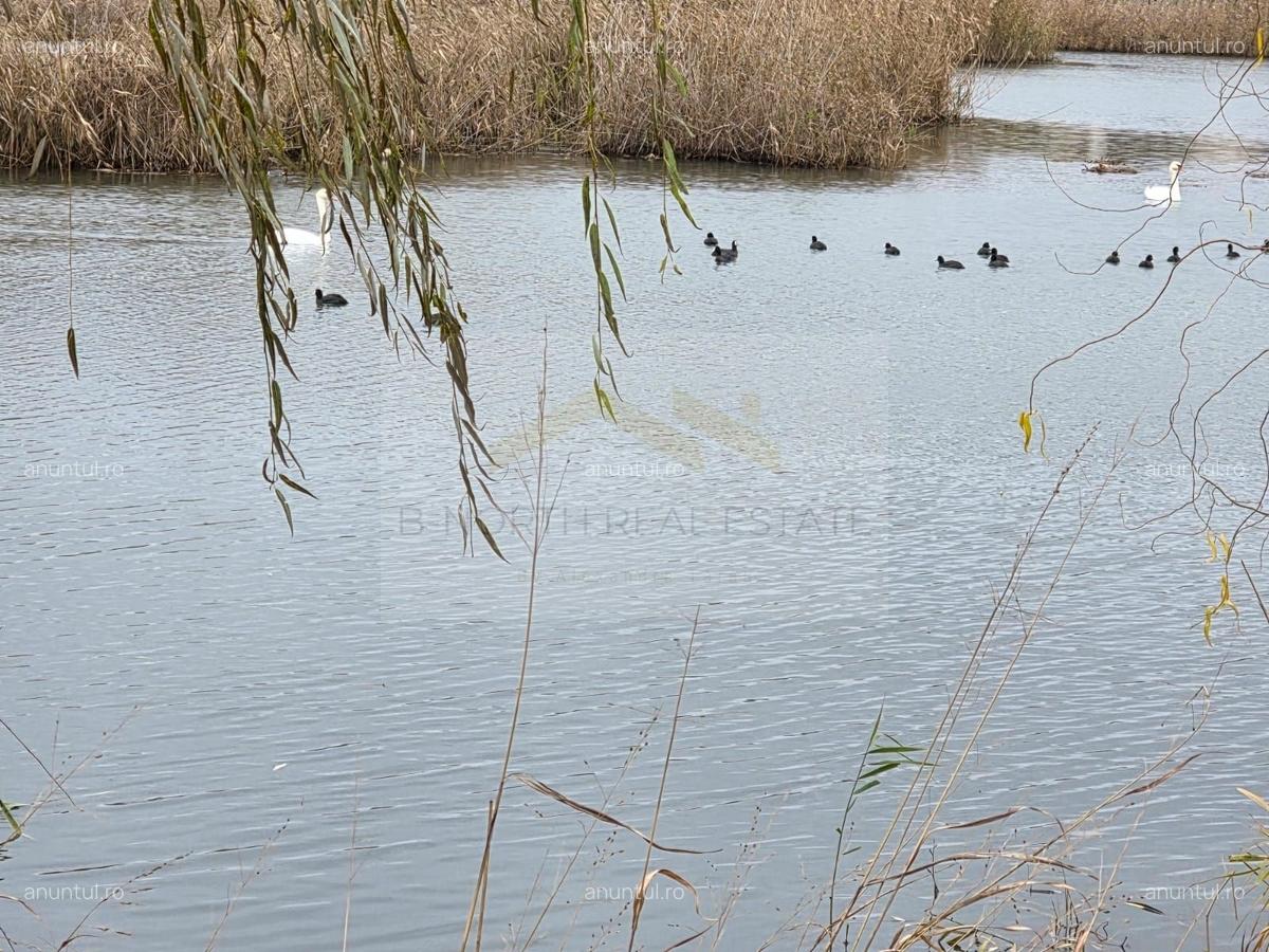Corbeanca, parcela intravilana cu vedere superba la lac, investitie de top - 2