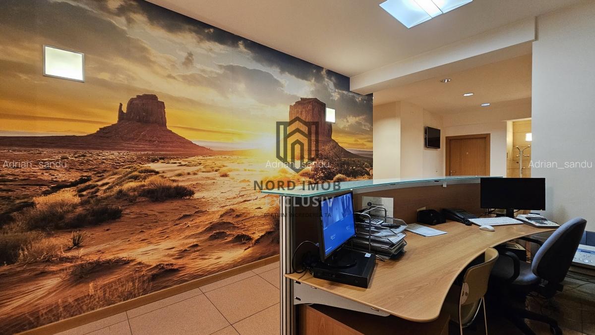 OPORTUNITATE! Spatiu de birouri 6 camere | 266 mp | 5 Bai | 2 terase | Herastrau - 24