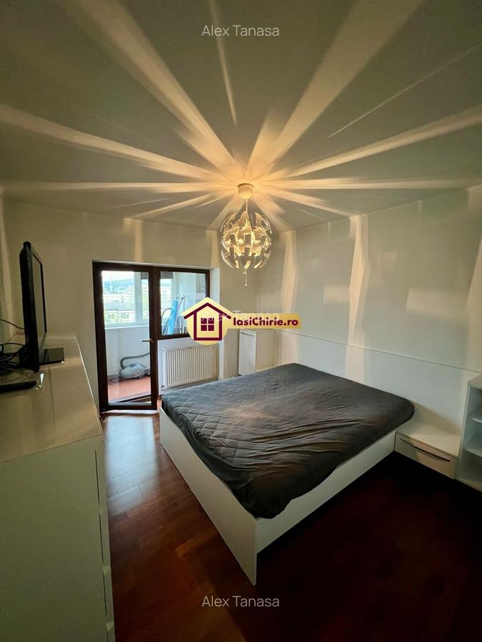 Apartament cu 3 camere decomandat în Palat - 8