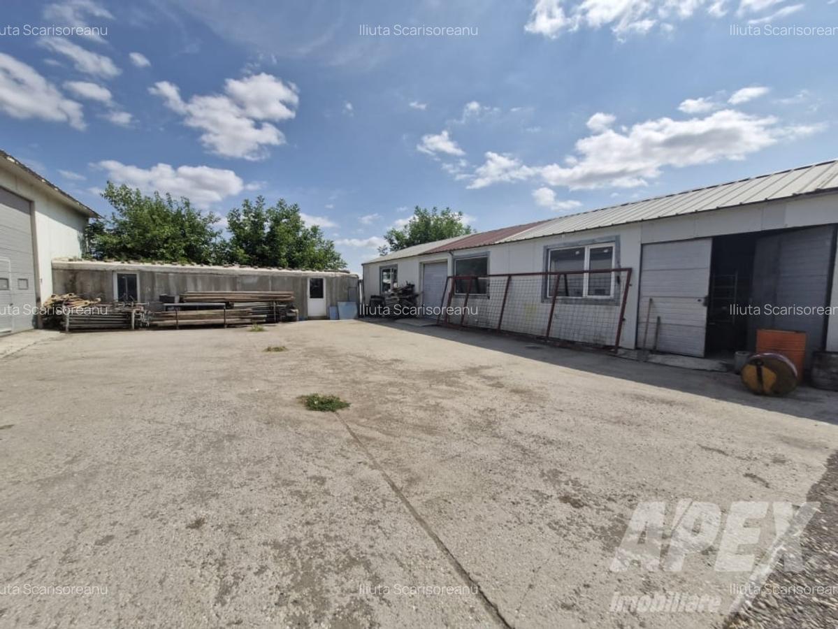 Hala depozitare/productie 300 mp |AccesTir | Teren liber 500 mp | Magurele DNCB - 4