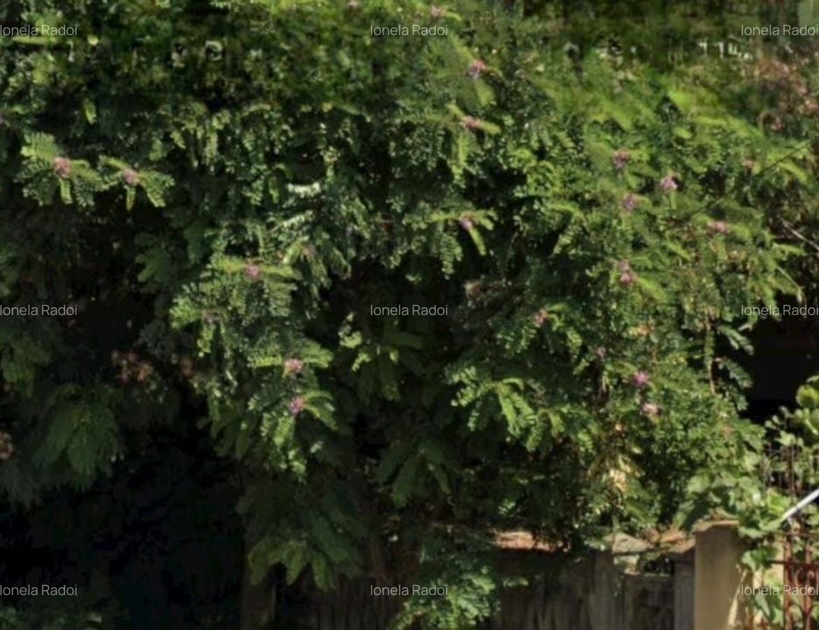 Teren centru Magurele - 3