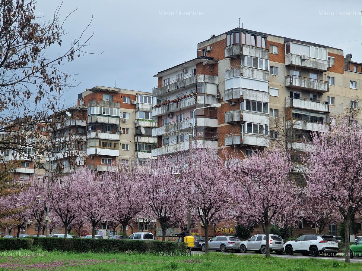Apartament cu 3 camere decomandat, mobilat în Complex Studențesc - 1