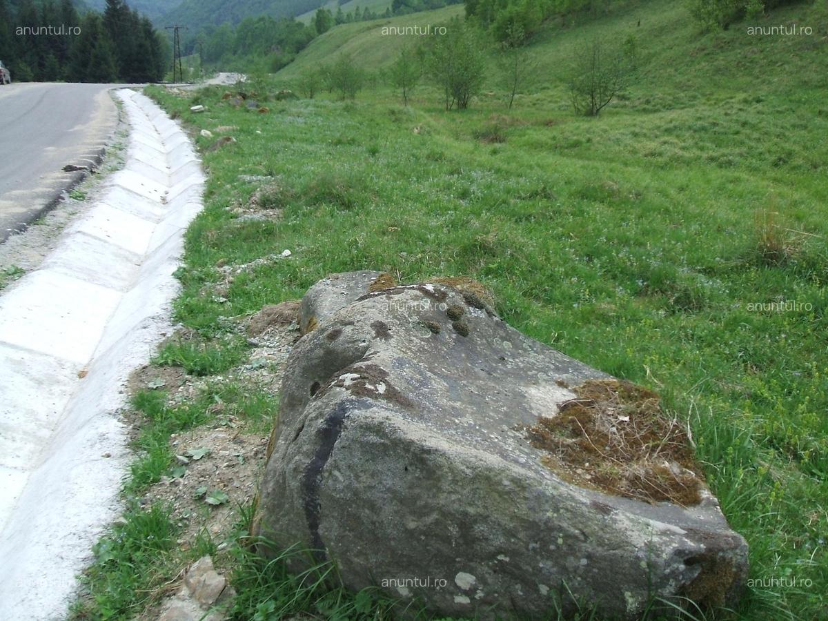 Raul Mare Retezat, spre statiunea de schi Rausor, Judetul Hunedoara - 3