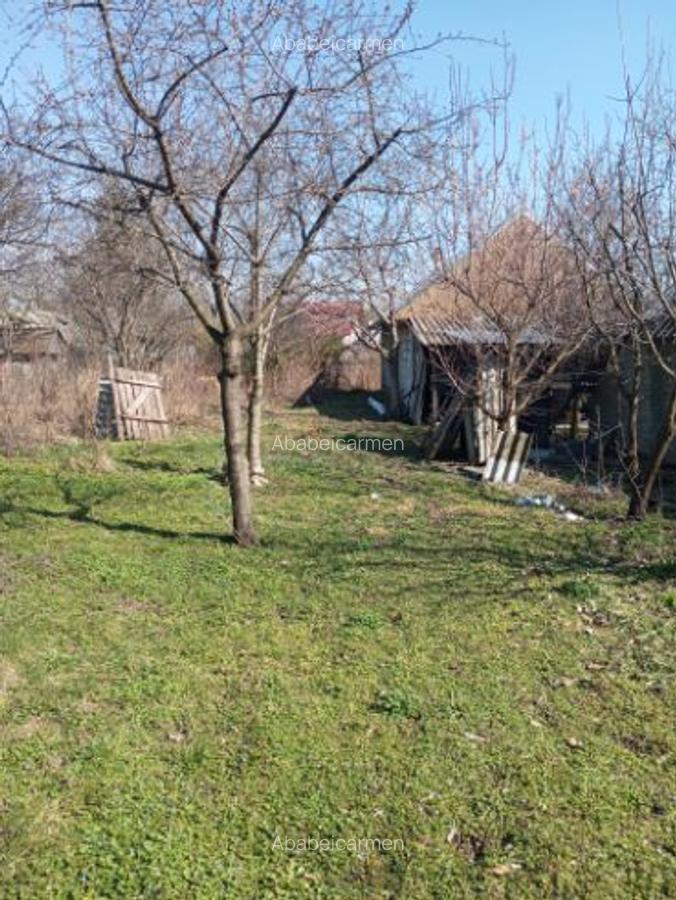 Casa MIROSLOVESTI - 9