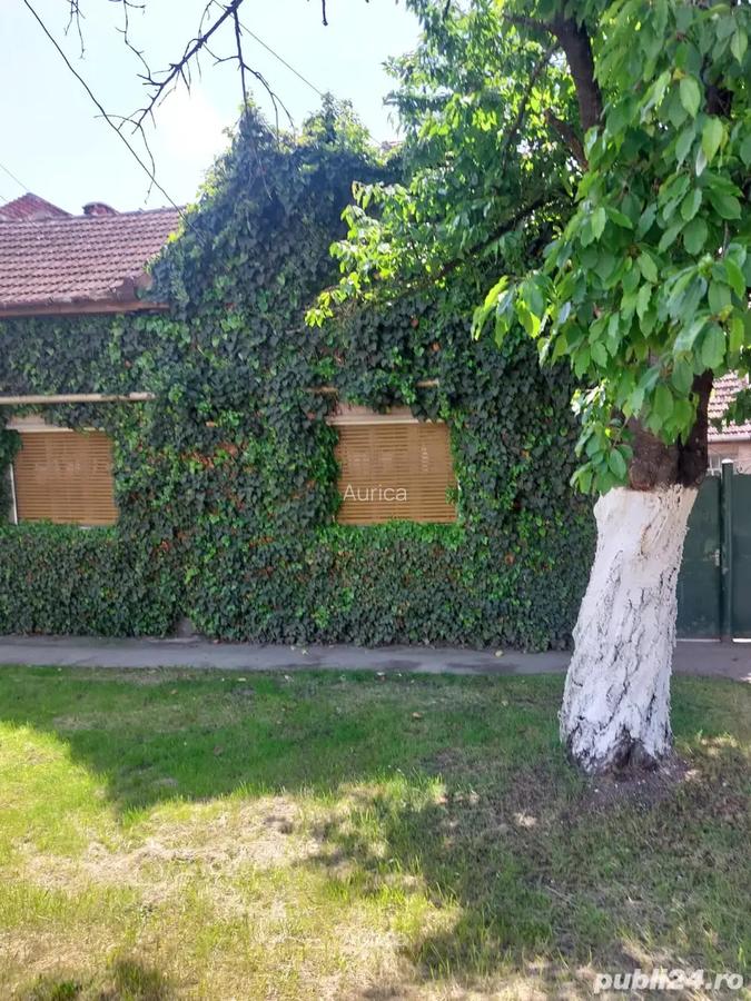 Casa de vanzare strada Fagetului 142 - 5