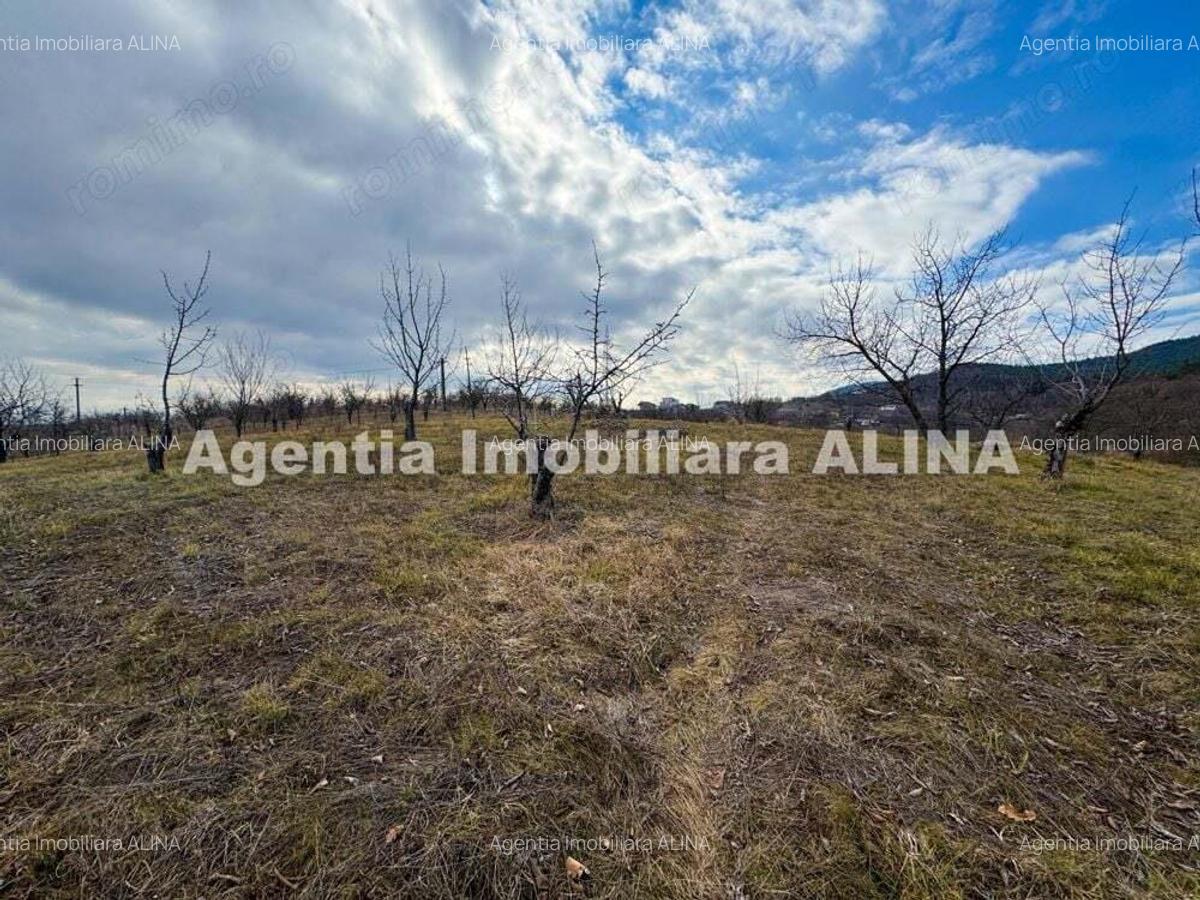 15 parcele de Teren intravilan in Deva, zona Calugareni, Strada Prunilor, Jud. Hd, cu PUZ, PUD, etc. - 10